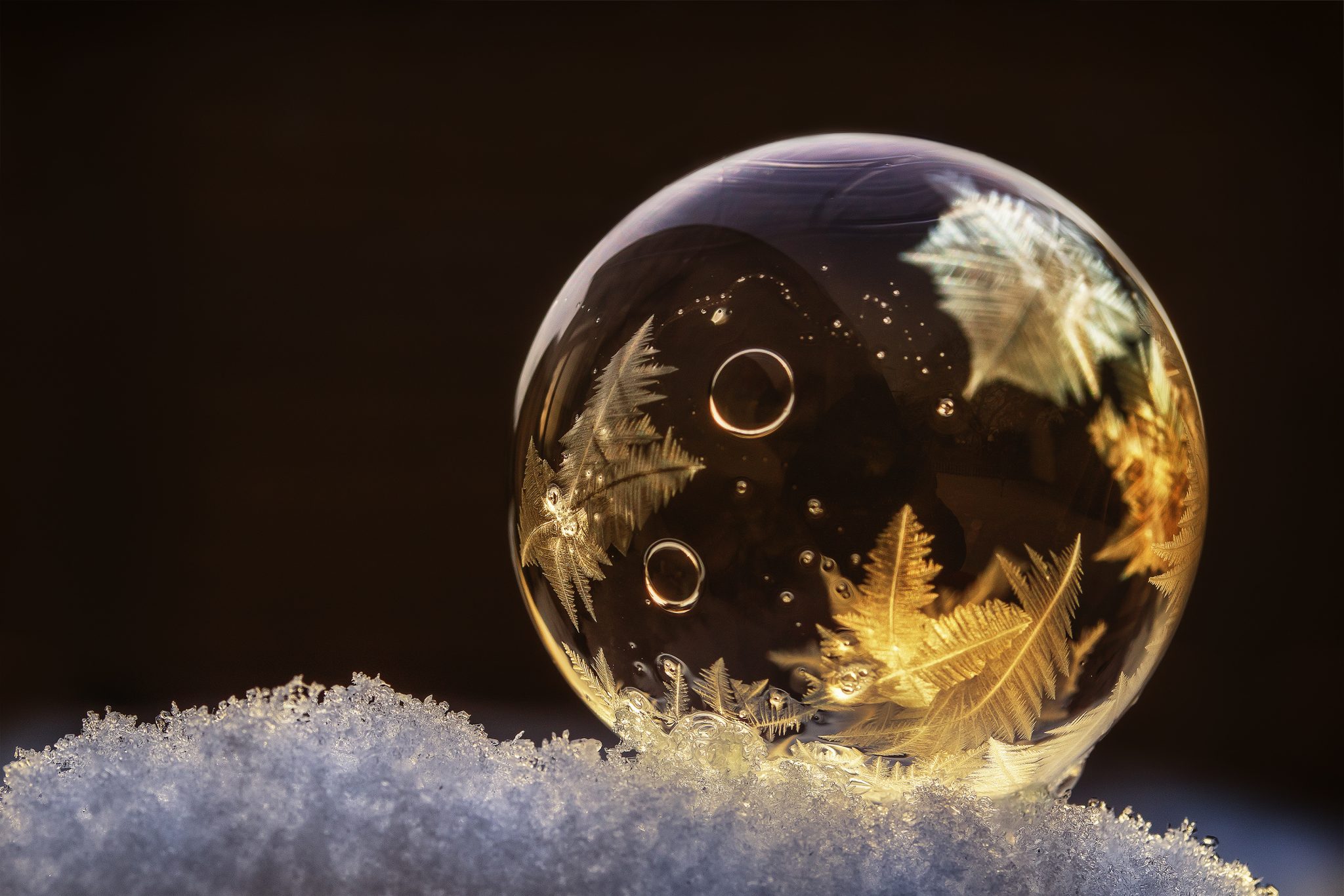 Snow day activities - frozen bubble