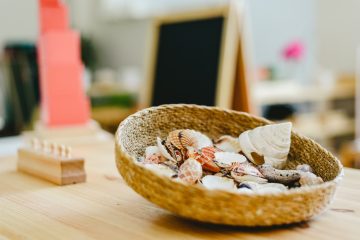 The benefits of heuristic play and treasure baskets