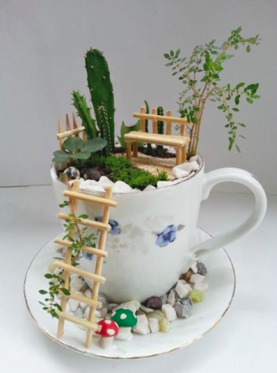 Tea cup fairy garden